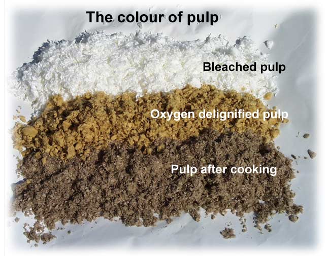 The colour of pulp (Mets Fibre, VTT)