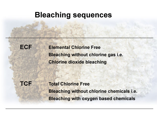 Terminology in bleaching (VTT)