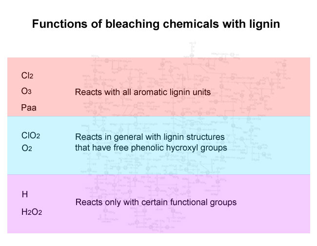 Fuctions of bleaching chemicals with lignin (Prowledge)