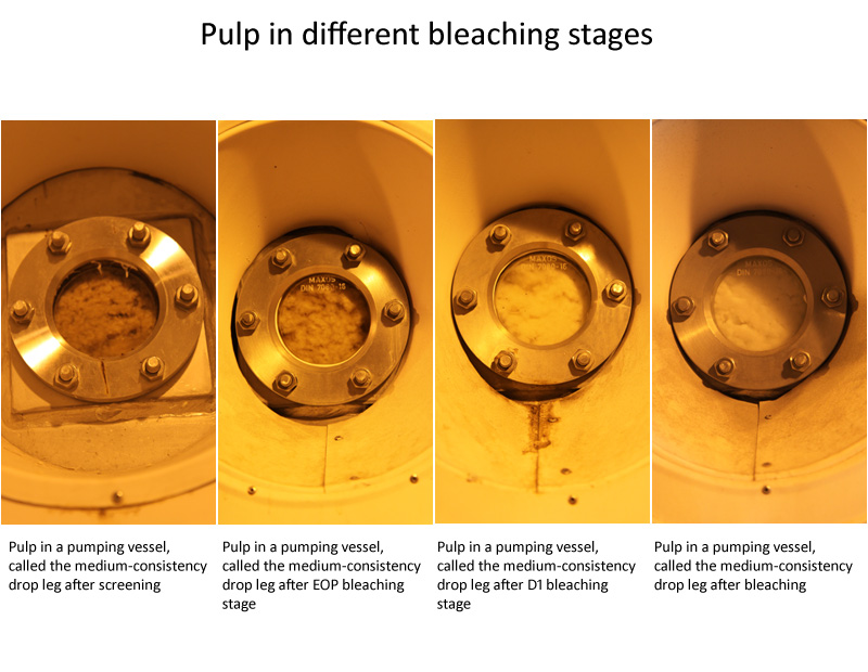 Pulp in different bleaching stages (Prowledge)