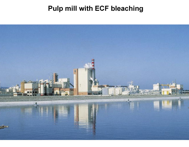 Pulp mill with ECF bleaching (Valmet)