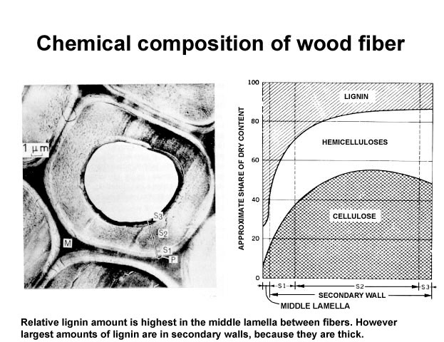 Chemical composition of wood fiber (Valmet)