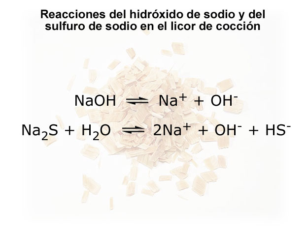Reacciones del hidrxido de sodio y del sulfuro de sodio en el licor de coccin (Prowledge, UPM)