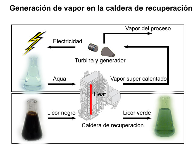 Generacin de vapor en la caldera de recuperacin (Prowledge, Andritz, Mets Fibre)
