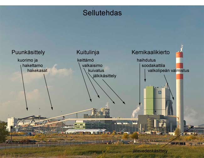 Sellutehdas (Valmet)