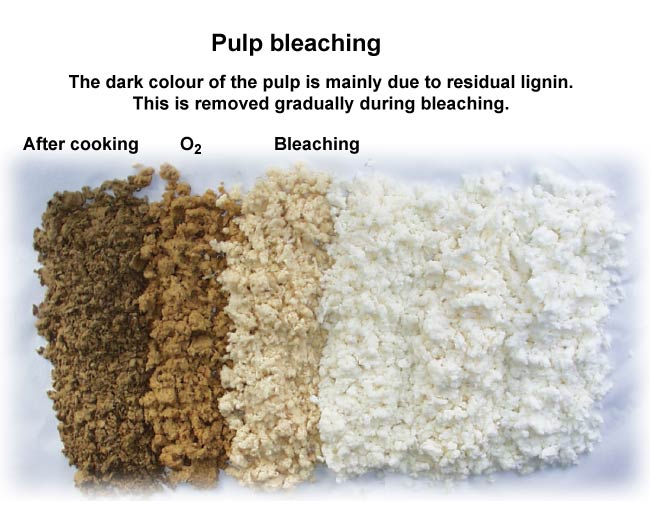 Residual lignin colors the pulp (Mets Fibre, VTT)