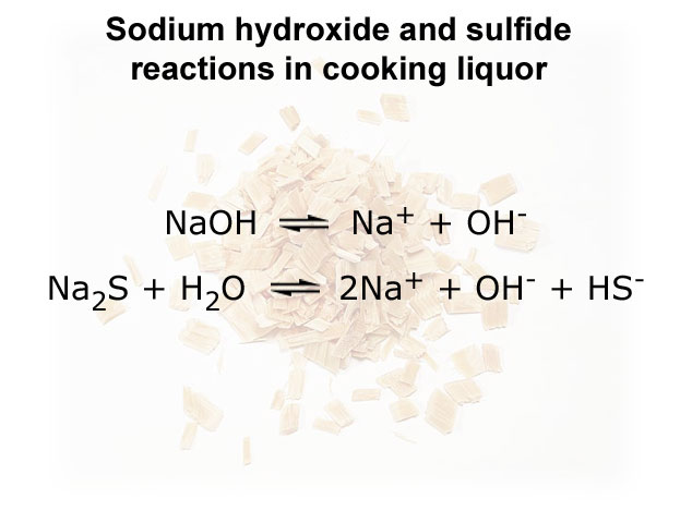 Reactions in cooking liquor (Prowledge, UPM)