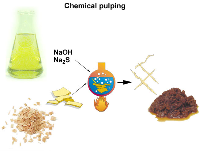 Chemical pulping (UPM, VTT)