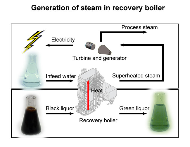 Generation of steam in recovery boiler (Prowledge, Andritz, Mets Fibre)
