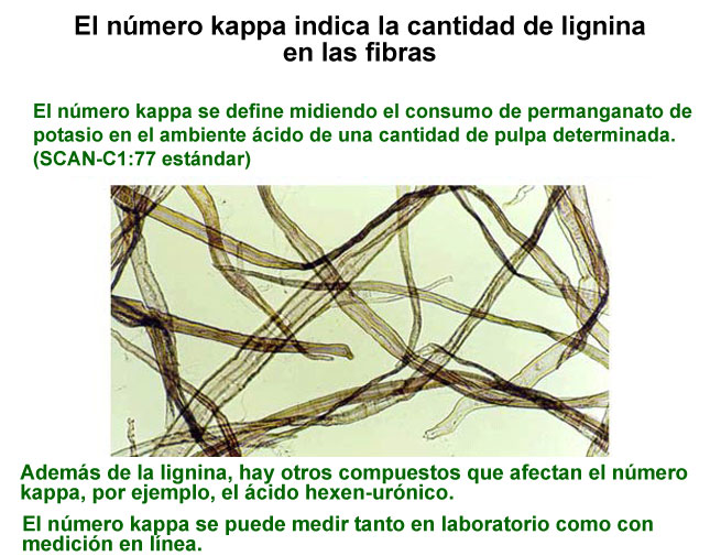 El nmero kappa (VTT)