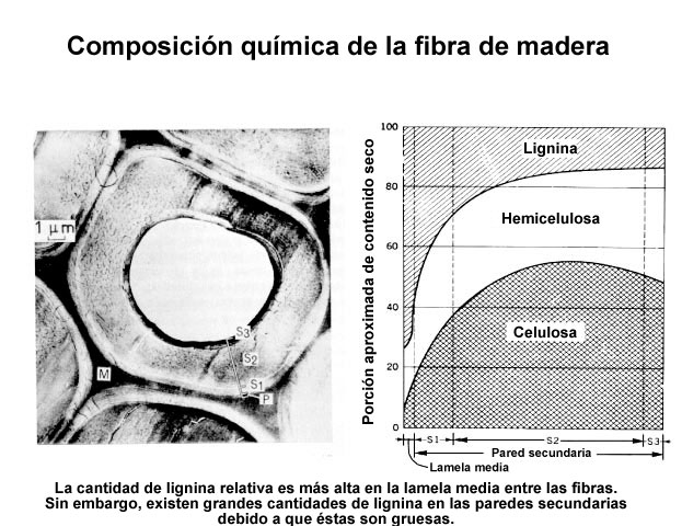 Composicin qumica de la fibra de madera (Valmet)