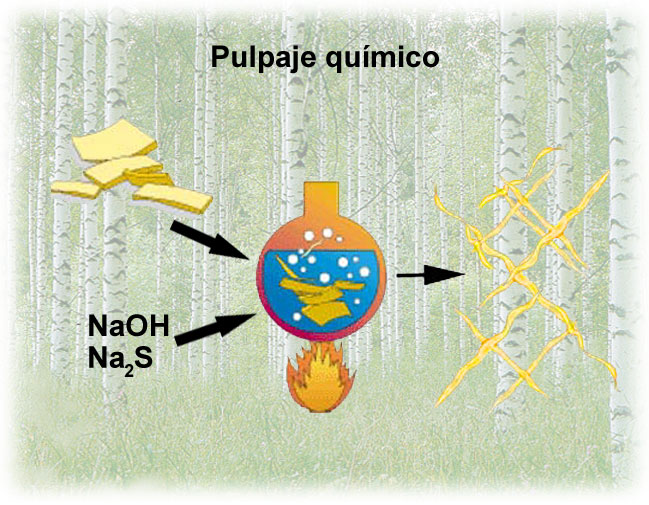 Pulpaje químico (UPM, VTT)