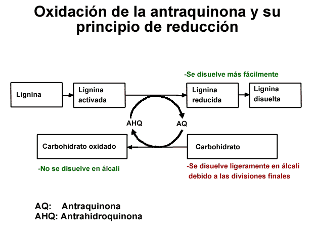 Principio de las reacciones de antraquinona (AEL, VTT)