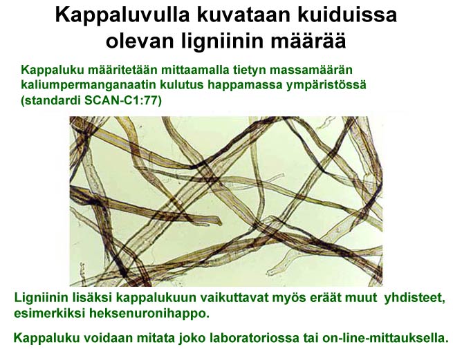 Kappaluku, havusellu (VTT)